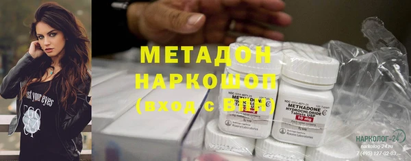 прущие грибы Дедовск