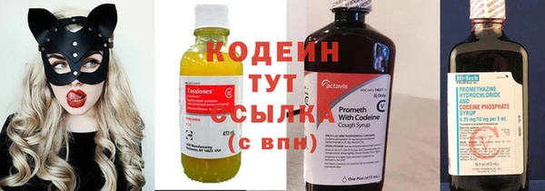 прущие грибы Дедовск